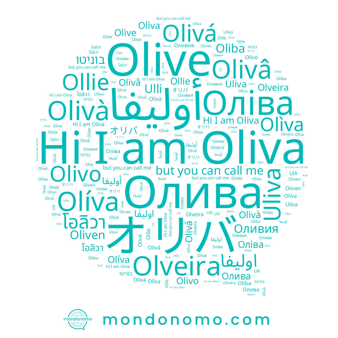 name Olivo, name Oliven, name اوليفا, name Олива, name Olveira, name Ollie, name Оливия, name Оліва, name Olive, name Uliva, name Oliba, name Olivá, name オリバ, name Olivâ, name Olìva, name Oliva, name Ulli, name בוניטו, name Olivà, name Olíva, name โอลิวา