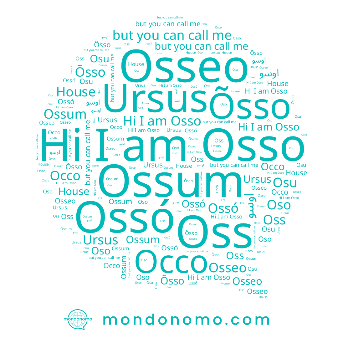 name Оссо, name Osu, name Ossum, name House, name Osso, name اوسو, name Oss, name Ursus, name Oso, name Õsso, name Ossó