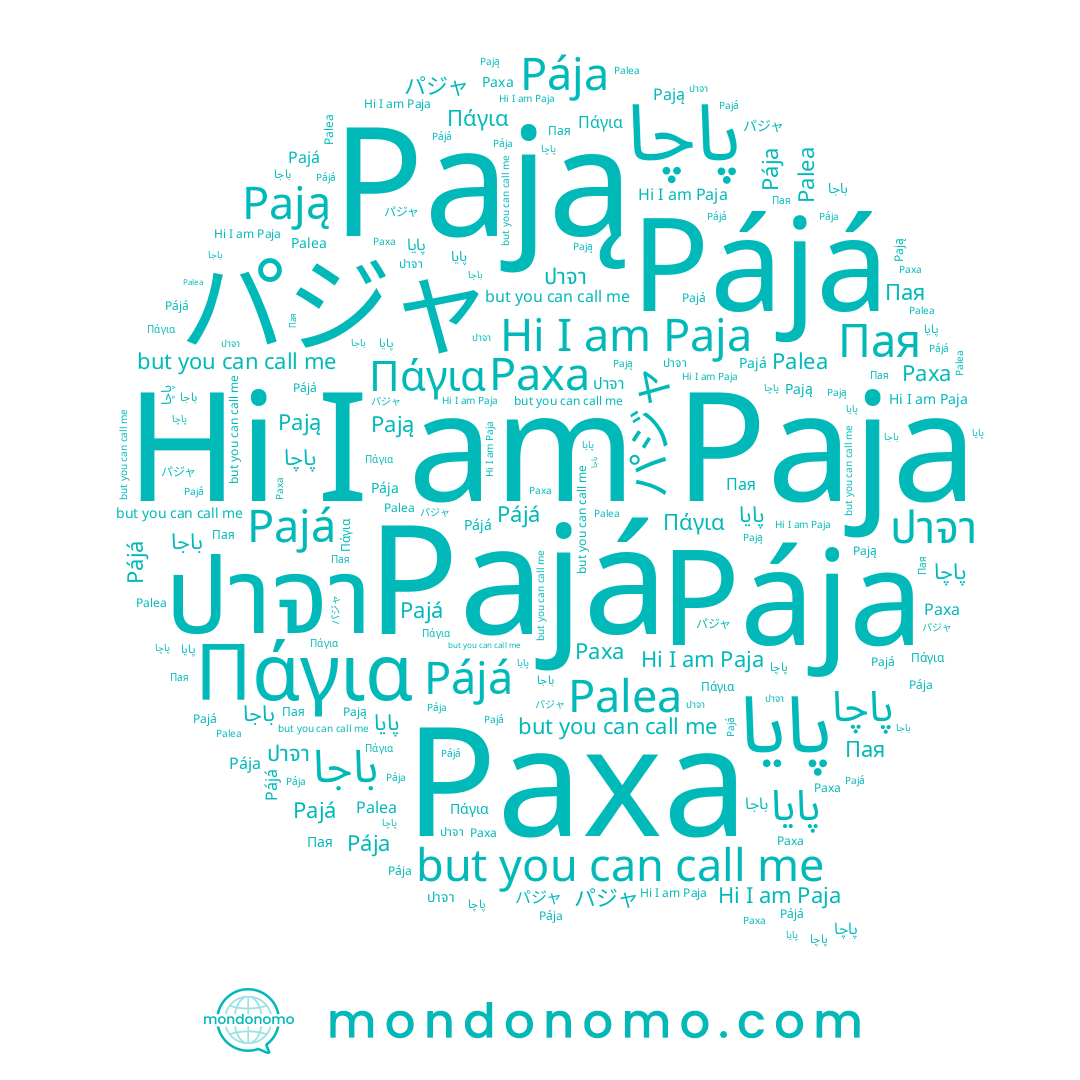 name باجا, name Пая, name Pája, name Pają, name Pájá, name Paja, name パジャ, name Paxa, name Pajá, name Palea, name ปาจา