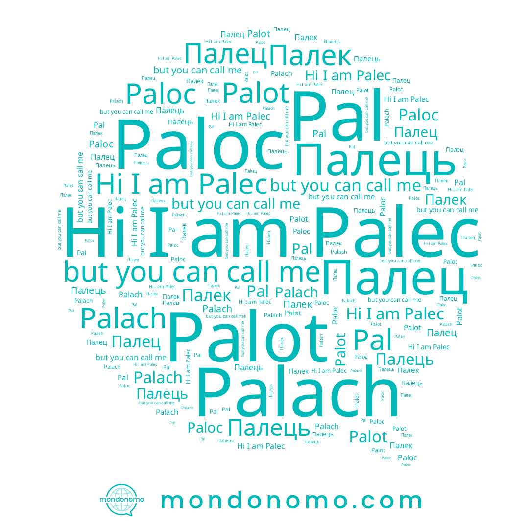 name Palach, name Палек, name Paloc, name Палець, name Palec, name Pal, name Palot, name Палец