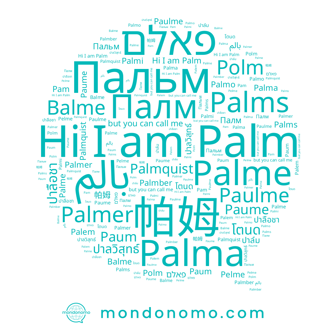 name Palmber, name Palem, name โตนด, name Paulme, name Palm, name ปาลวิสุทธ์, name Pam, name Palmquist, name Palma, name Palme, name Paume, name Пальм, name Pelme, name ปาลือชา, name Palmi, name Polm, name Paum, name Palmer, name ปาล์ม, name Palms, name פאלם, name Balme, name Palmo