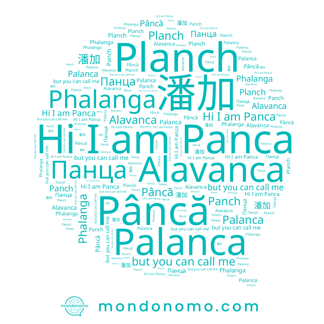 name Phalanga, name 潘加, name Planch, name Panca, name Панца, name Palanca, name Pâncă, name Panch