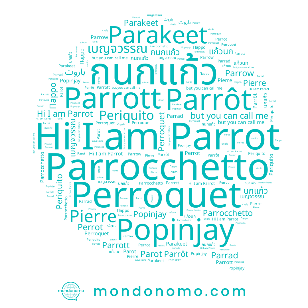 name แก้วนก, name Periquito, name باروت, name เบญจวรรณ, name Parrôt, name Парро, name นกแก้ว, name Parrot, name Parrott, name Parot, name Parrad, name กนกแก้ว, name Perrot, name Parrocchetto, name Parrow, name Pierre