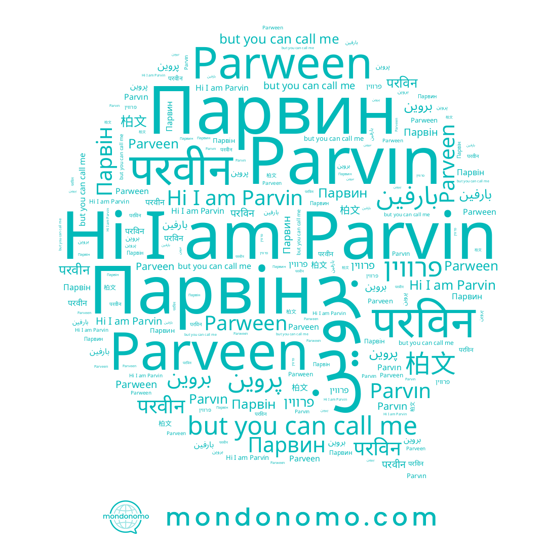 name Parvin, name Parween, name פרווין, name Парвин, name پروين, name परविन, name بروين, name Parveen, name Парвін, name Parvın, name 柏文, name بارفين