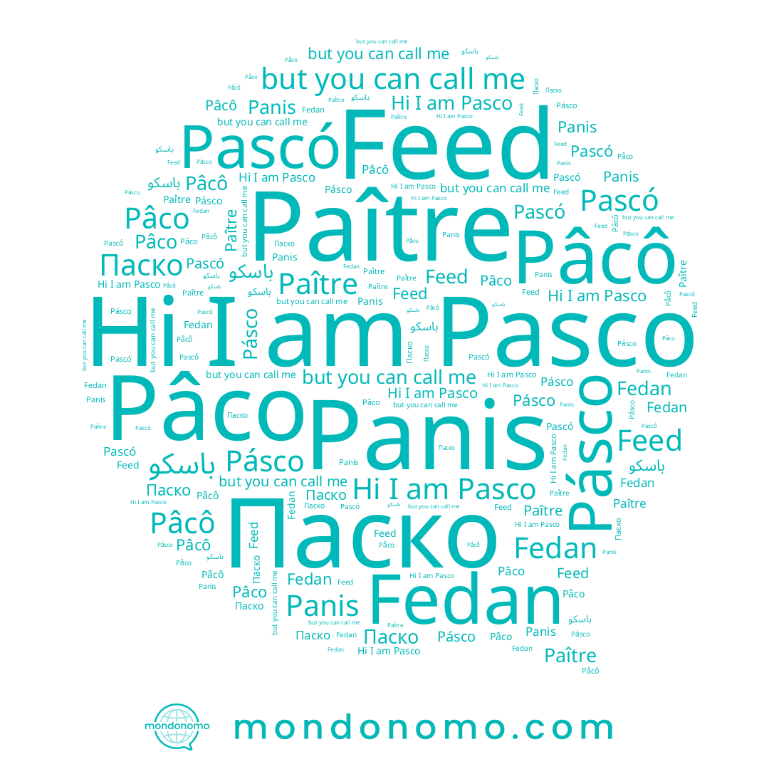 name Pasco, name Pâco, name Pásco, name Fedan, name Pâcô, name Pascó, name Paître, name Паско, name Panis