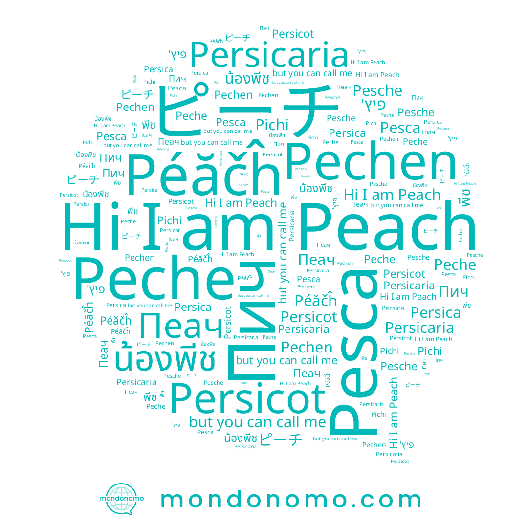 name Persicot, name Pesche, name Persica, name Pechen, name พีช, name น้องพีช, name Peche, name Pichi, name Pesca, name Peach, name פיץ', name Пич, name Пеач, name Péăčĥ, name ピーチ, name Persicaria