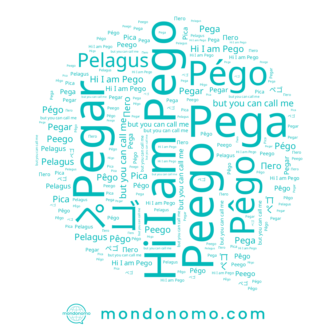 name Peego, name Pega, name Pégo, name Pêgo, name ペゴ, name Pica, name Pego, name Pegar, name Пего