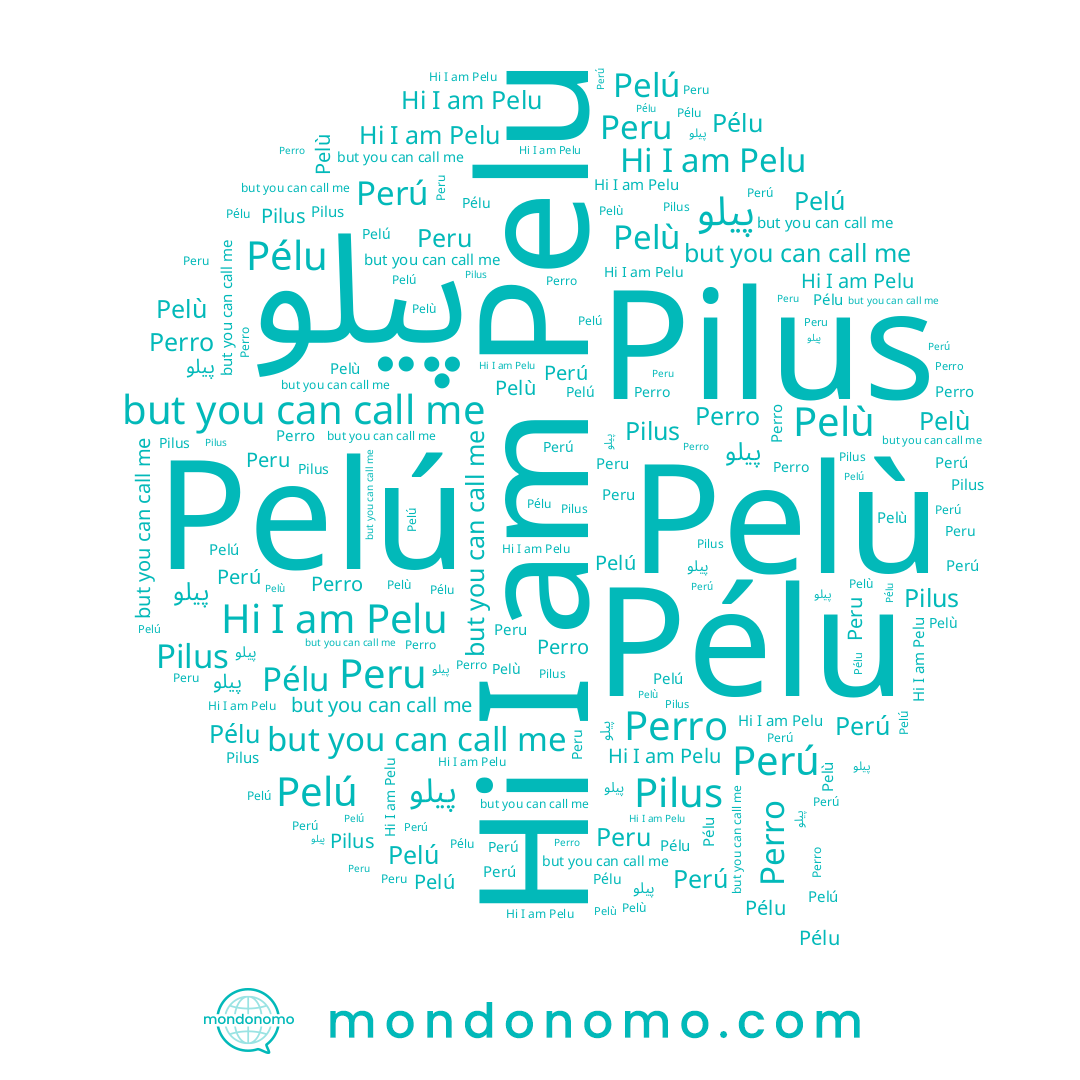name Pélu, name Peru, name Pelú, name Pelù, name Pelu, name Pilus, name Perro, name پیلو