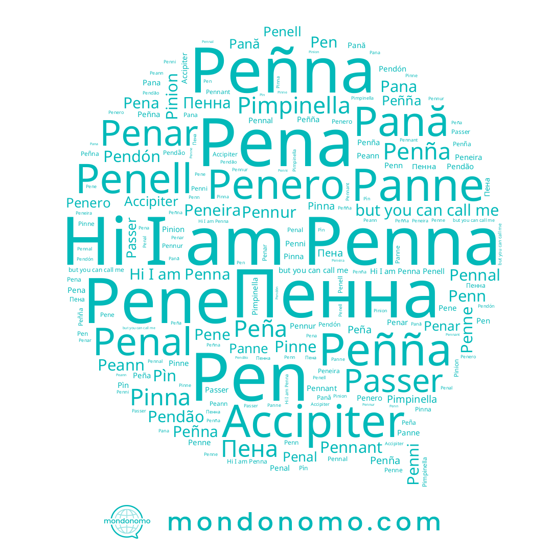 name Pen, name Pìn, name Pendão, name Penn, name Penell, name Penne, name Pendón, name Peñña, name Peann, name Penni, name Peña, name Peneira, name Pana, name Pinna, name Pinion, name Penar, name Pimpinella, name Pinne, name Penero, name Panne, name Pene, name Pennur, name Pena, name Pană, name Accipiter, name Пенна, name Penna, name Peñna, name Passer, name Pennant, name Penña