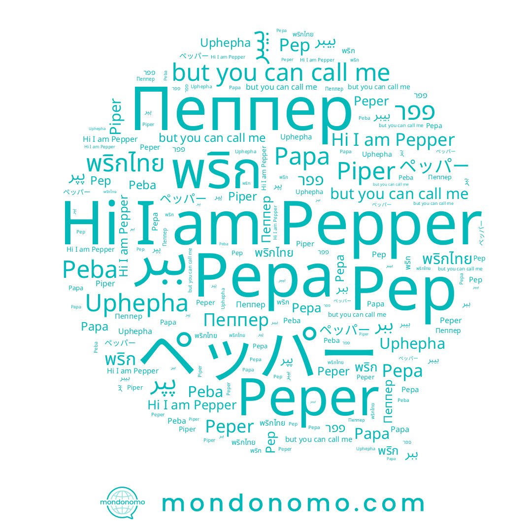 name ペッパー, name Piper, name Papa, name พริก, name Pepa, name Пеппер, name Peper, name פפר, name Peba, name ببر, name พริกไทย, name پپر, name Pep, name Pepper, name Uphepha, name بيبر
