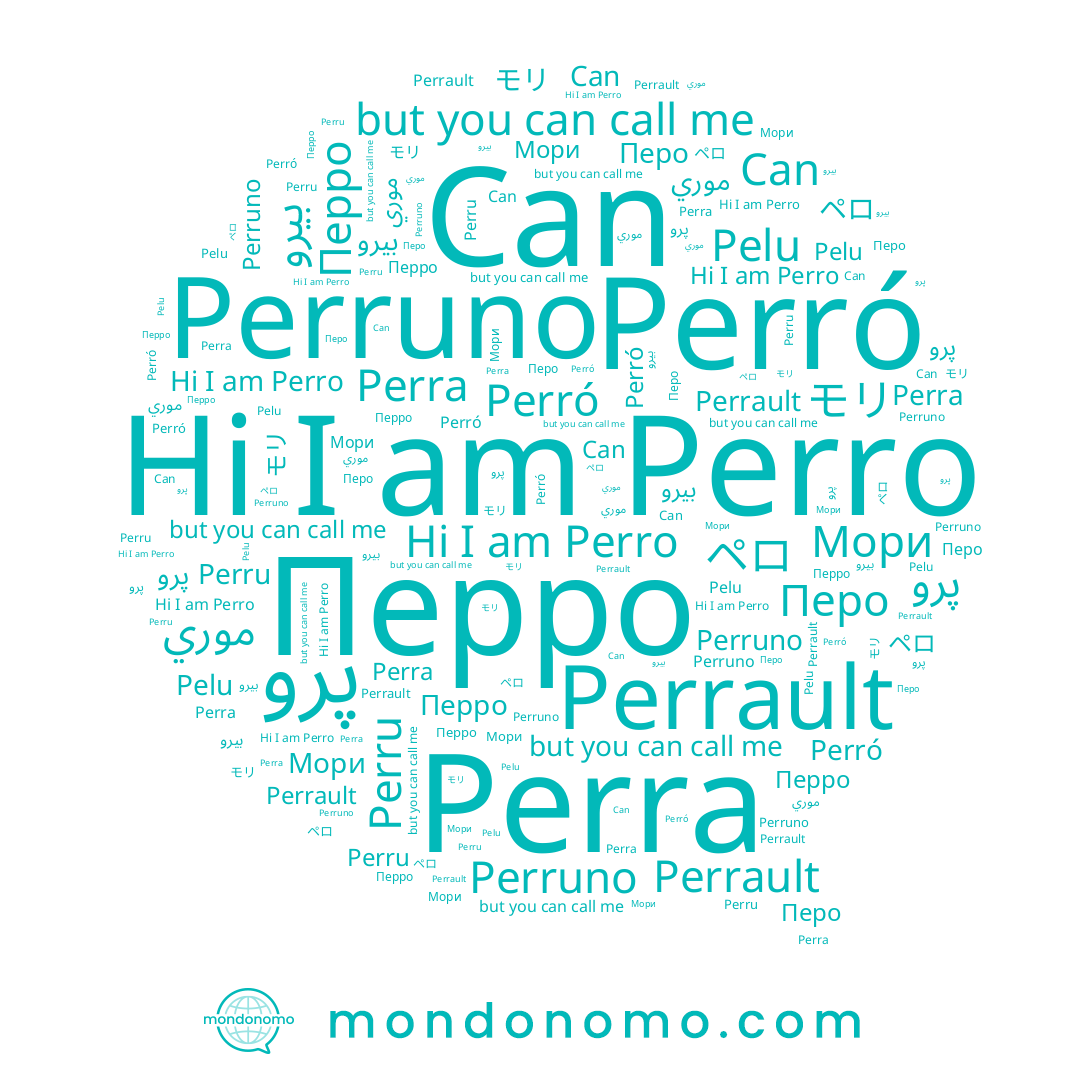 name Can, name Perruno, name ペロ, name モリ, name موري, name بيرو, name Pelu, name Perro, name Перро, name Мори, name Перо, name Perró, name Perru, name Perra, name Perrault