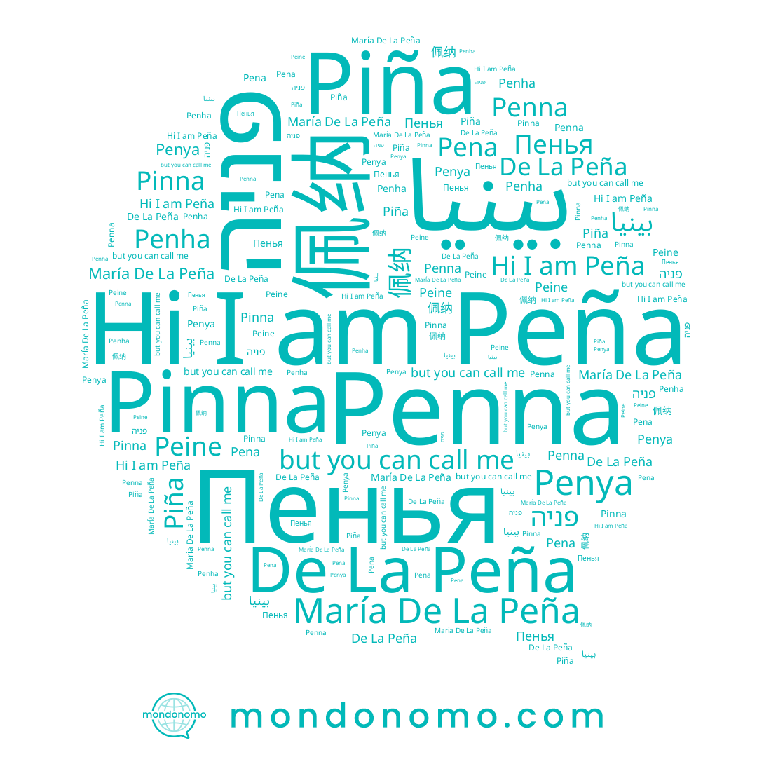 name Piña, name Pena, name Penha, name 佩纳, name Peña, name פניה, name De La Peña, name Pinna, name Penna, name Пенья, name María De La Peña, name Peine