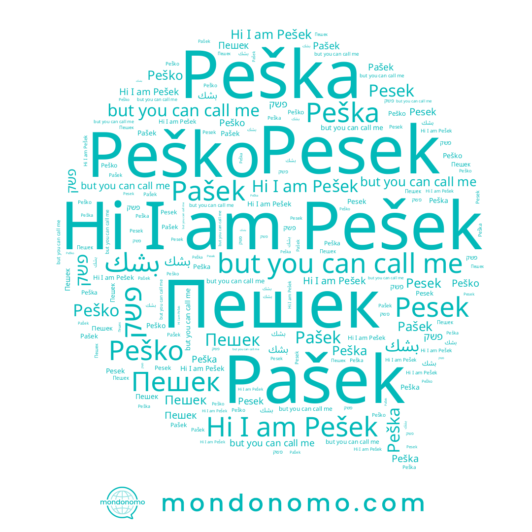 name Pašek, name Peška, name פשק, name بشك, name Pesek, name Пешек, name Peško, name Pešek