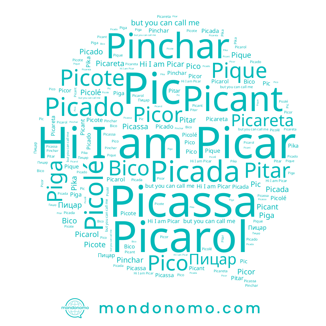 name Bico, name Picado, name Pinchar, name Picarol, name Pico, name Pique, name Pitar, name Pika, name Picareta, name Picant, name Picolé, name Pic, name Picar, name Picada, name Piga, name Picassa, name Picote, name Пицар