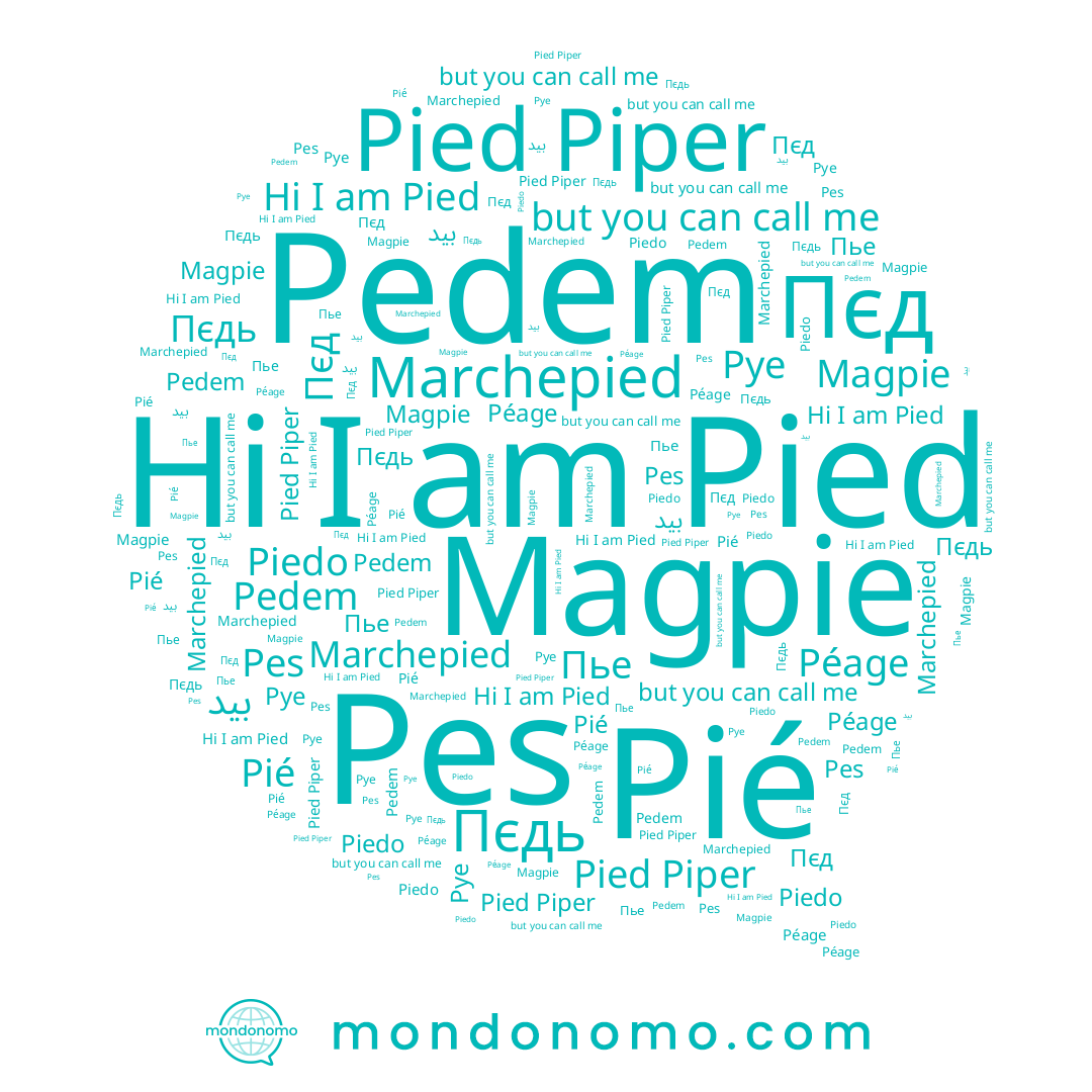 name Piedo, name Pes, name Pied, name Pedem, name Пєд, name Пєдь, name Marchepied, name Pye, name Pied Piper, name Péage, name Pié