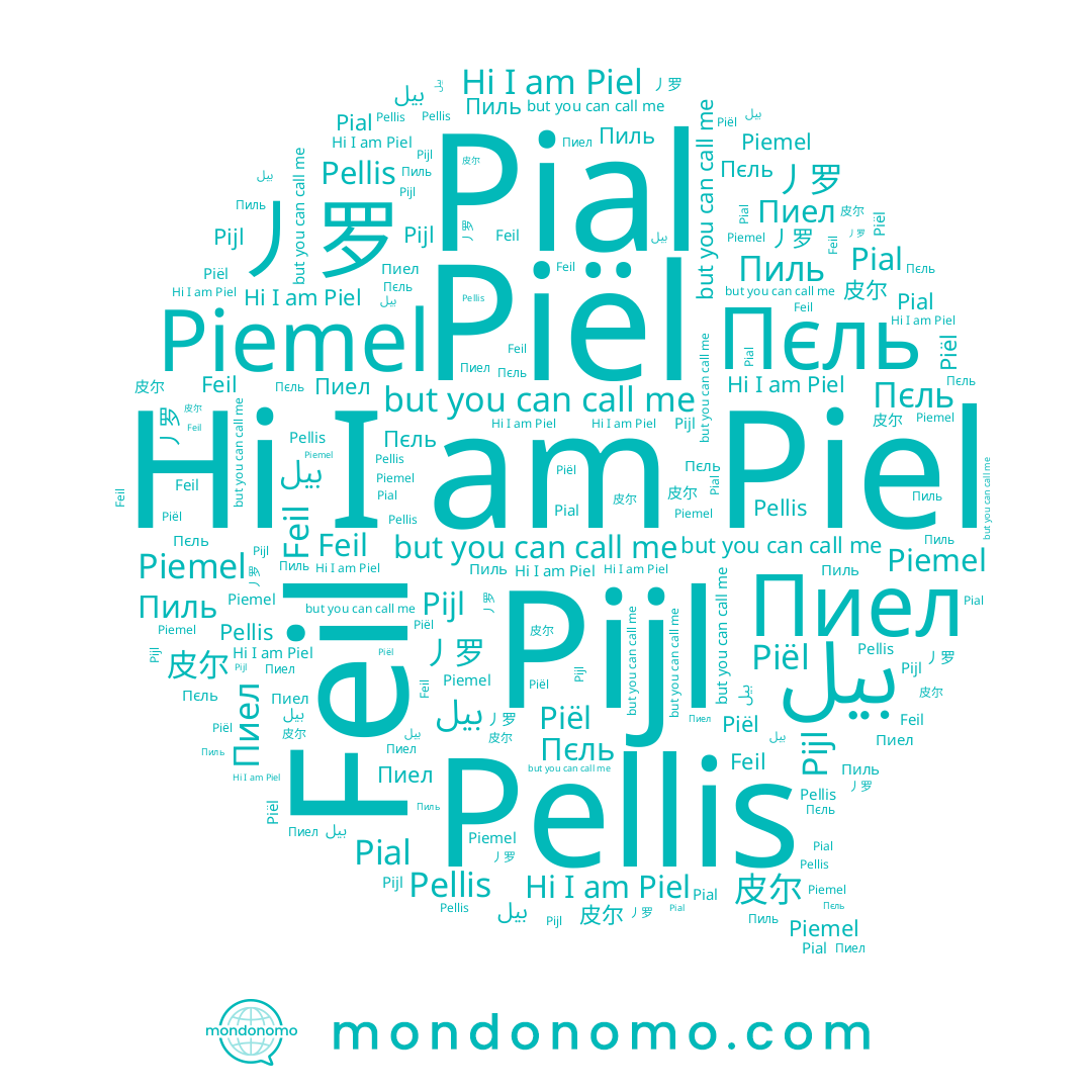 name Пиел, name Pellis, name Pial, name Piël, name Pijl, name 皮尔, name بيل, name Piemel, name Piel, name Feil, name 丿罗, name Пєль, name Пиль