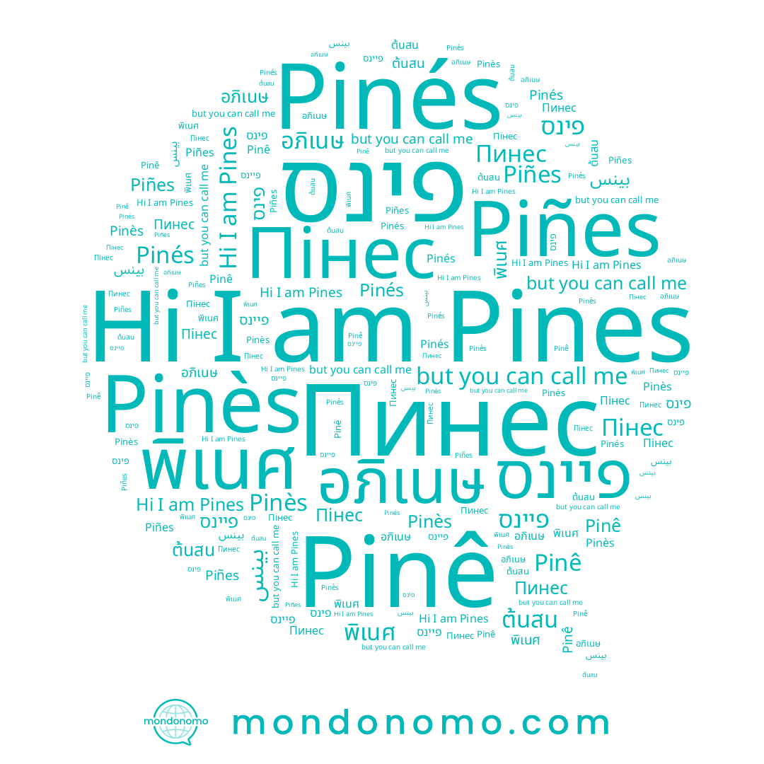 name Pinés, name Piñes, name Pinès, name Пінес, name ต้นสน, name อภิเนษ, name Пинес, name Pinê, name พิเนศ, name פינס, name Pines