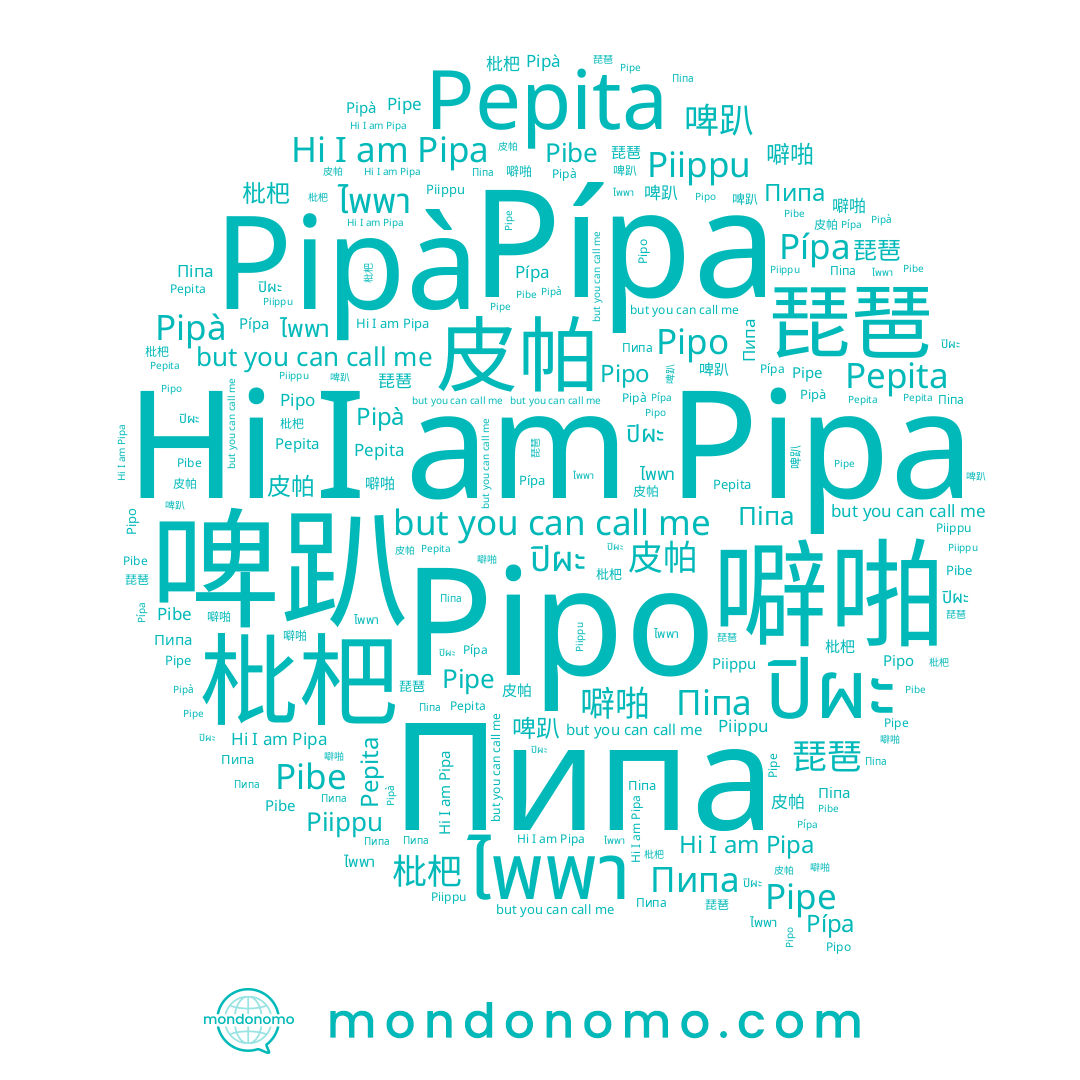 name Pipà, name 琵琶, name Pipo, name Pipa, name ปิผะ, name Pepita, name ไพพา, name Pípa, name 皮帕, name Пипа, name Піпа, name Pipe, name Piippu, name 啤趴, name 枇杷, name Pibe, name 噼啪