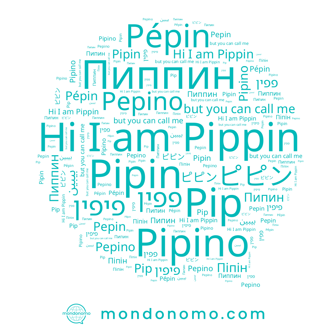 name Pipino, name פיפין, name Pip, name Пиппин, name Pipin, name Pepino, name Pippin, name Пипин, name Pépin, name Pepin, name Піпін, name بيبين, name ピピン