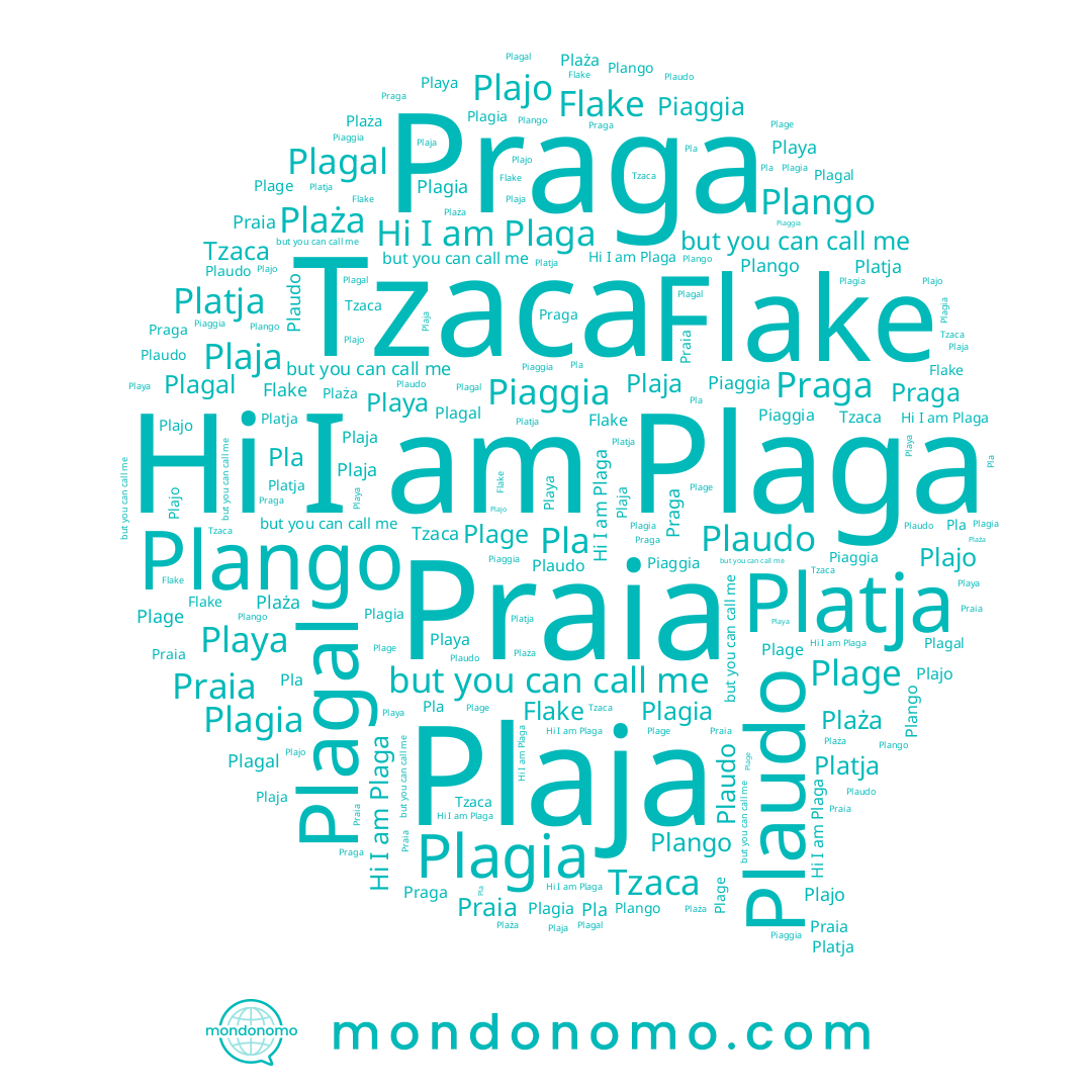 name Piaggia, name Plage, name Plaja, name Plaudo, name Tzaca, name Plajo, name Pla, name Plagia, name Plaża, name Plaga, name Plagal, name Flake, name Praia, name Praga