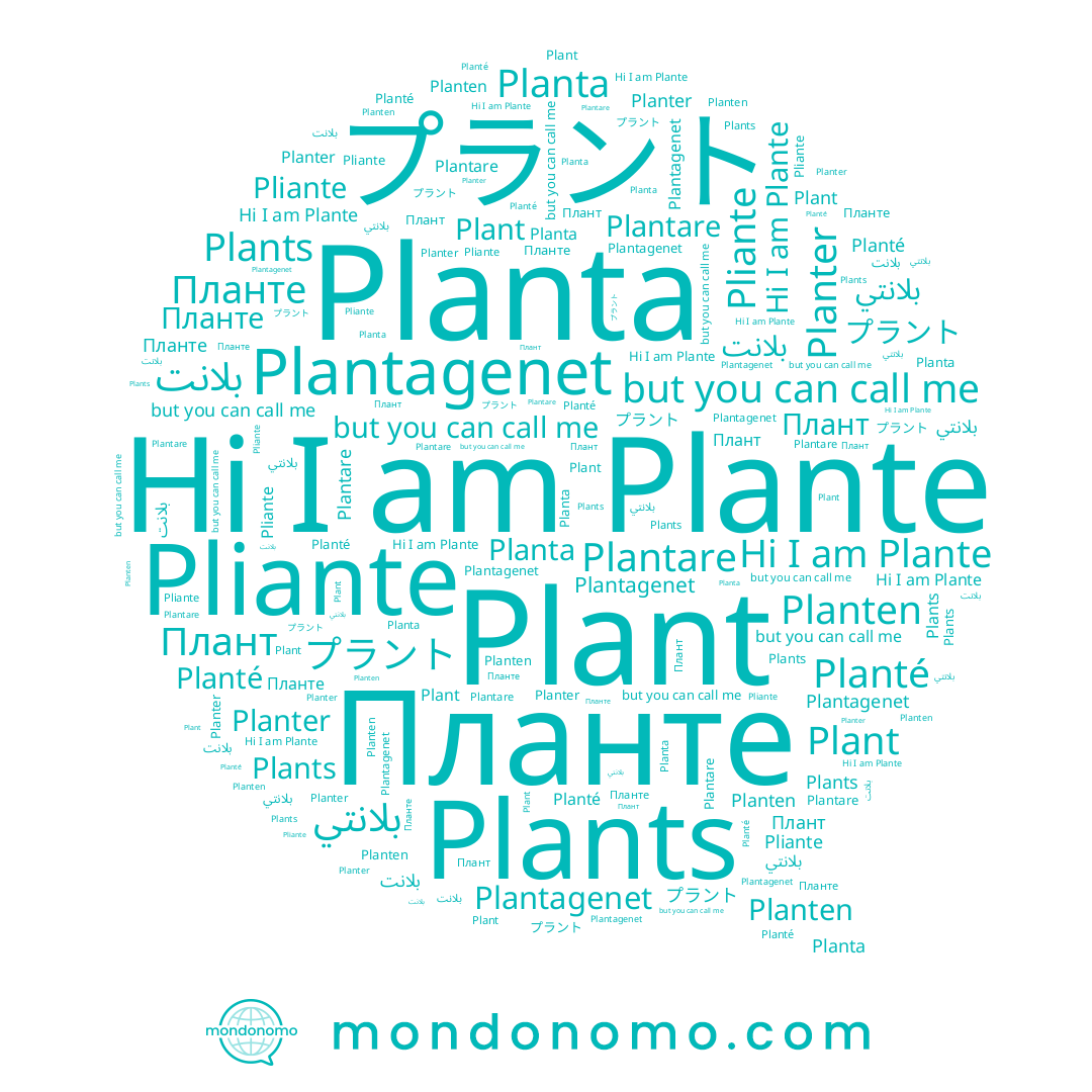 name Планте, name Planta, name Pliante, name Plant, name بلانتي, name Planté, name Plantagenet, name プラント, name Planter, name Plante