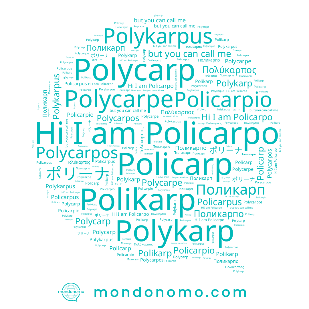 name Polycarp, name Поликарпо, name Policarpus, name Polykarp, name Policarpio, name ポリーナ, name Polycarpos, name Поликарп, name Polycarpe, name Policarpo, name Polykarpus, name Polikarp, name Policarp