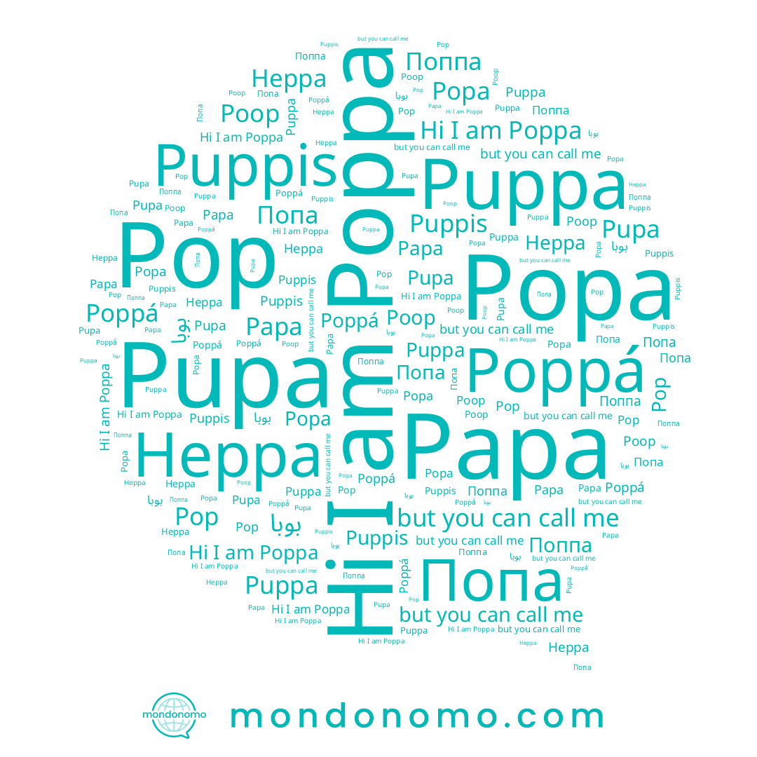 name Poppá, name Popa, name Поппа, name Poppa, name Papa, name Puppa, name Poop, name Pop, name Pupa, name Puppis, name Heppa, name بوبا, name Попа