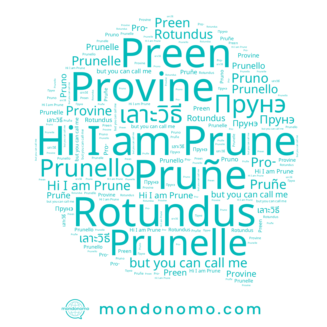 name Prune, name Pruñe, name Прунэ, name Prunello, name Provine, name Preen, name เลาะวิธี, name Pruno, name Prunelle