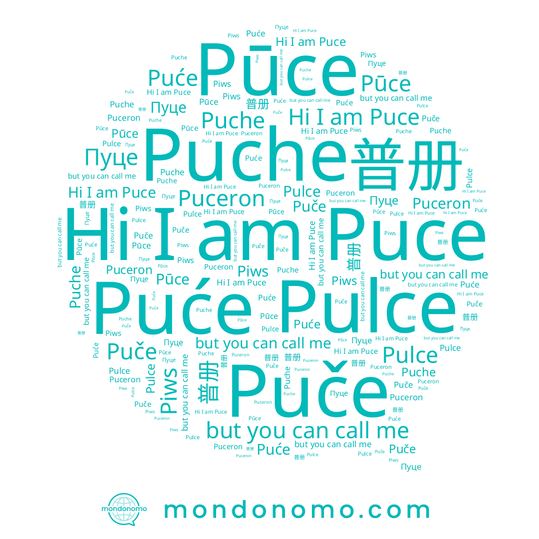 name Пуце, name Piws, name Puće, name Puche, name Pulce, name 普册, name Puce, name Pūce, name Puče