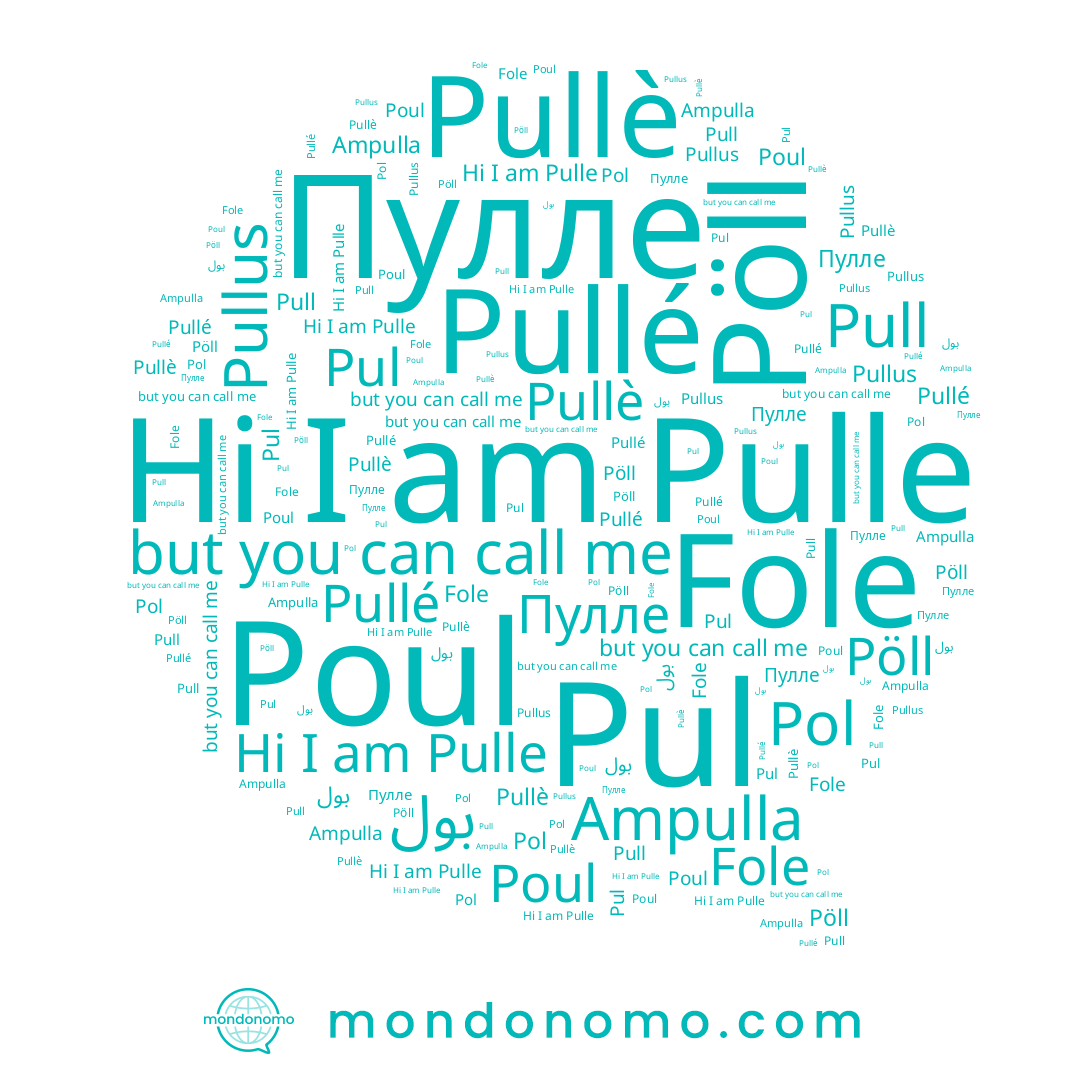 name Pullé, name Pul, name Pullè, name Fole, name Pöll, name Пулле, name Pull, name Pol, name Pulle, name Pullus, name بول, name Poul