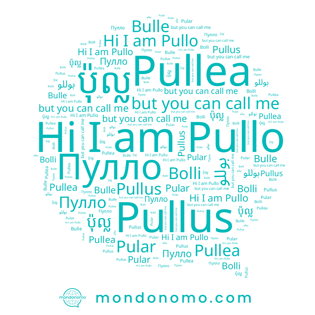 name Bulle, name بوللو, name Пулло, name Pullea, name Pullo, name Pular, name Bolli, name Pullus, name ប៉ុល្ល