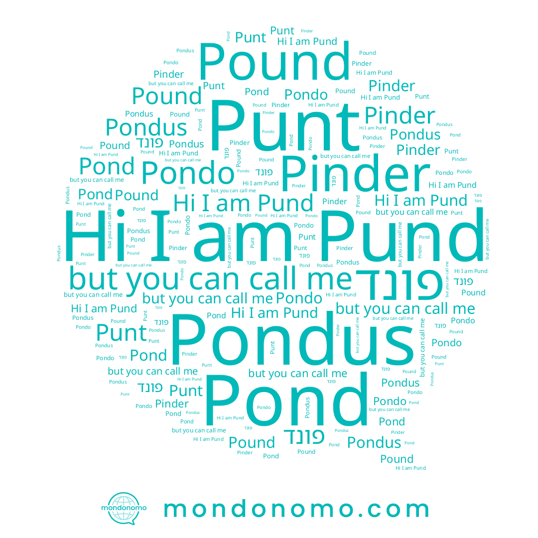 name פונד, name Punt, name Pound, name Pondo, name Pinder, name Pund, name Pond