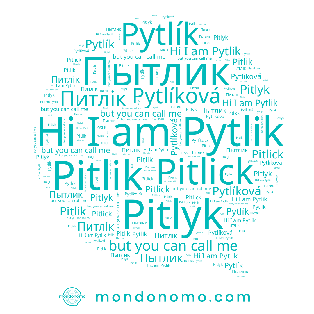 name Pytlík, name Pytlik, name Питлік, name Pitlyk, name Pitlik, name Pitlick, name Пытлик, name Pytlíková