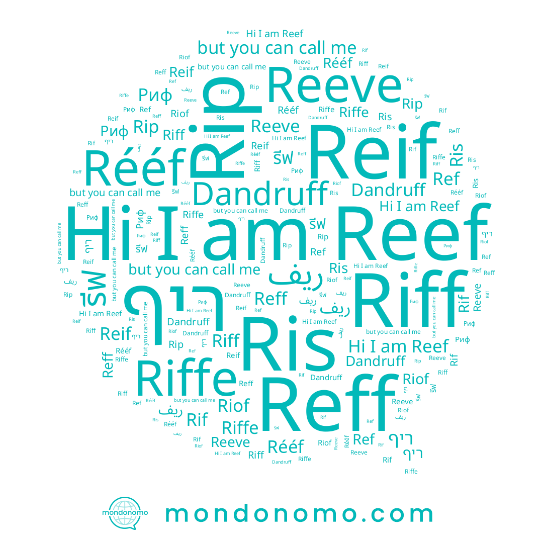 name Reef, name Риф, name Reif, name Riffe, name Rip, name Riff, name Reeve, name Dandruff, name Riof, name Rééf, name รีฟ, name Reff, name ריף, name Ris