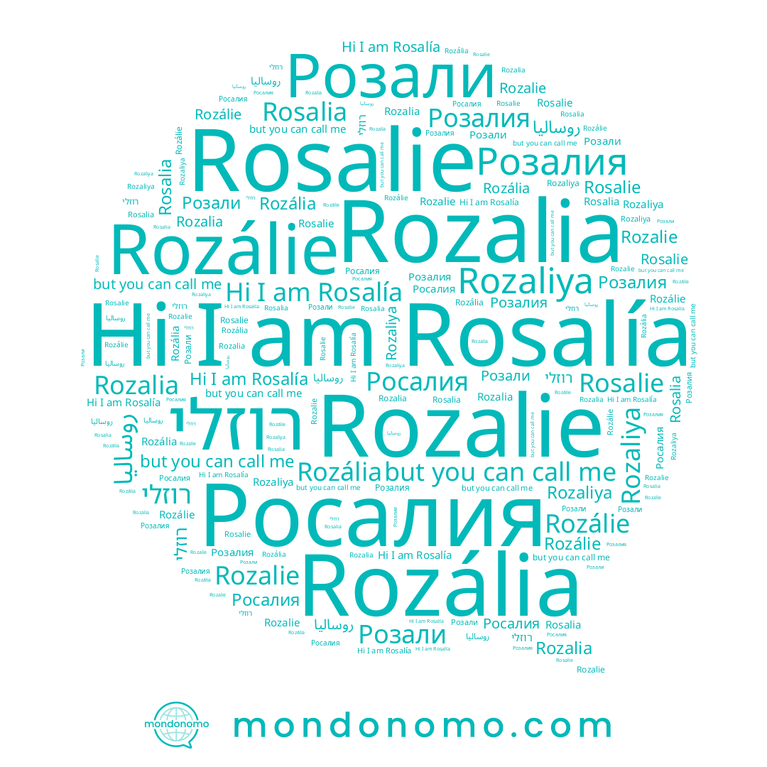 name Rosalia, name רוזלי, name Rosalie, name Rozalia, name Rozálie, name Rosalía, name Rozalie, name Росалия, name Розали, name Rozália, name Розалия, name Rozaliya