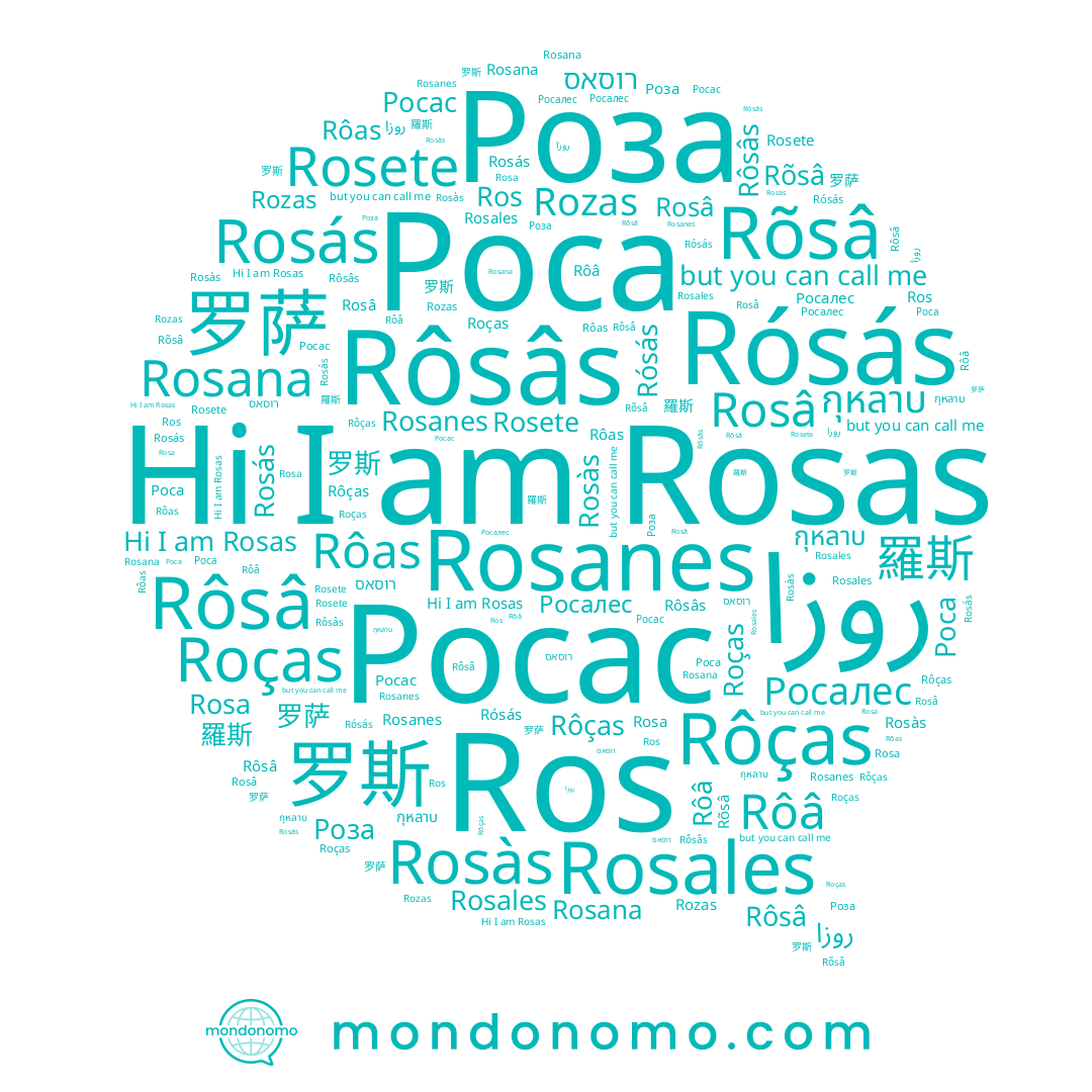 name Роса, name Rosás, name Rosa, name Rôâ, name Rosas, name Rosete, name Rõsâ, name Rósás, name Ros, name Росалес, name 罗萨, name Rozas, name Rôças, name רוסאס, name Roças, name Rosâ, name Rosàs, name Rosana, name روزا, name Росас, name Роза, name Rosales, name 羅斯, name Rôsâs, name 罗斯, name Rôsâ, name กุหลาบ, name Rôas, name Rosanes