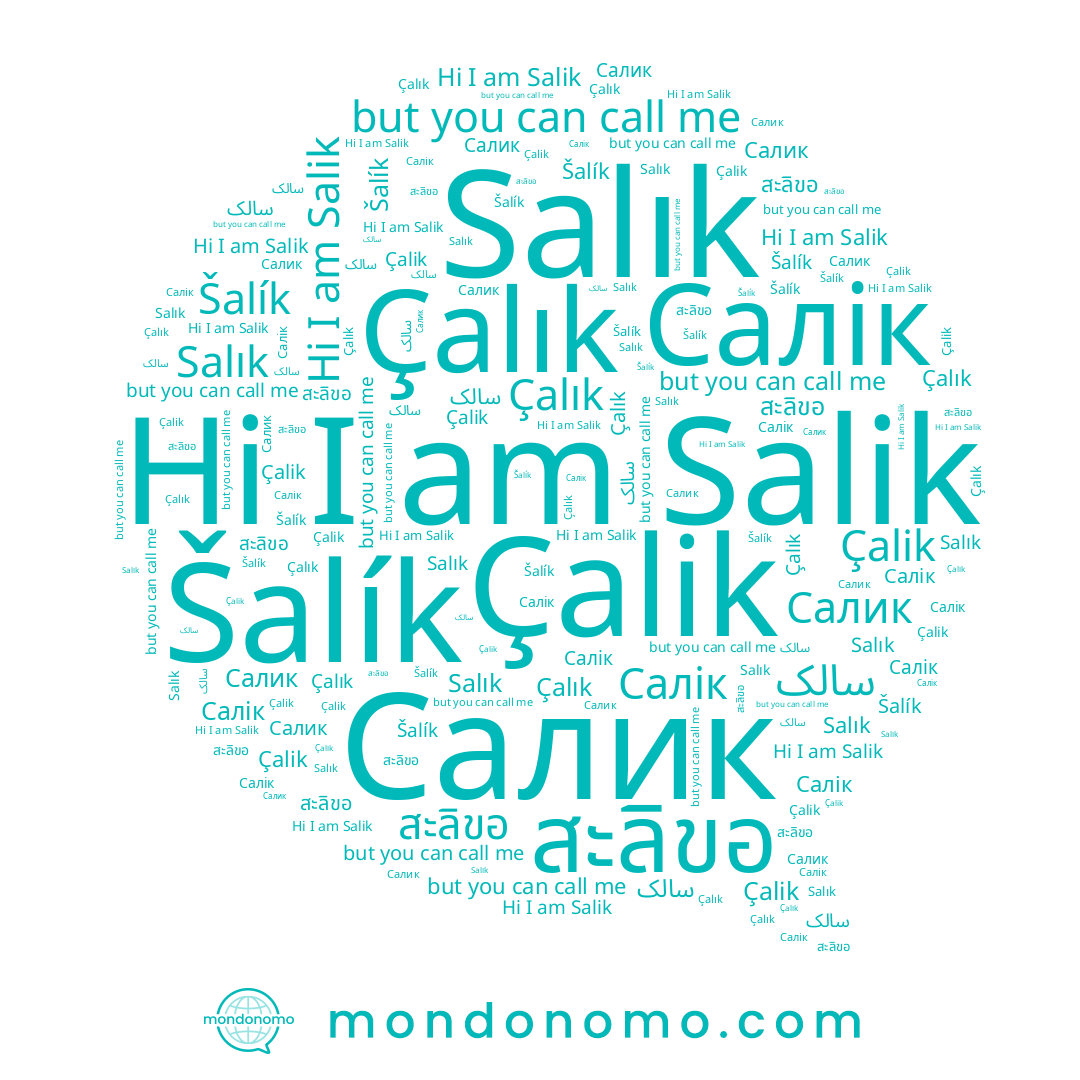 name Çalık, name Çalik, name Salik, name Салік, name Salık, name Салик, name سالک, name Šalík, name สะลิขอ