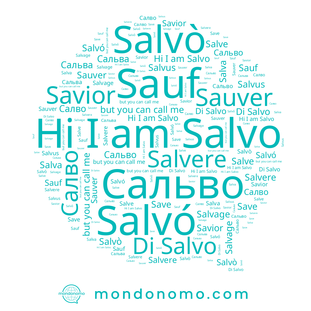 name Салво, name Salvò, name Savior, name Salvage, name Save, name Sauf, name Sauver, name Salva, name Сальва, name Salvo, name Сальво, name Salve, name Salvó