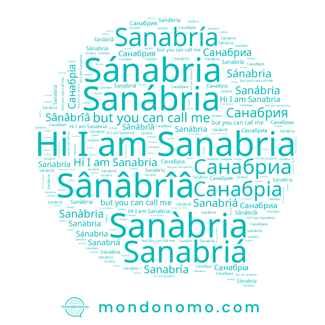 name Sanabría, name Санабріа, name Sânâbrîâ, name Санабрия, name Sanabriá, name Sanabria, name Sanàbria, name Sanábria, name Санабриа, name Sánabria
