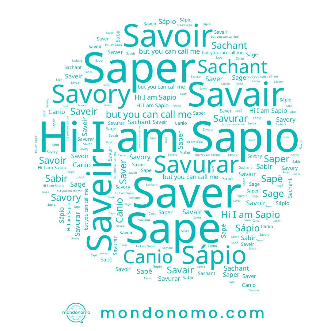 name Sapio, name Sage, name Сапіо, name Savair, name Sabir, name Saveir, name Saper, name Savory, name Sapè, name Savurar, name Sápio, name Sachant