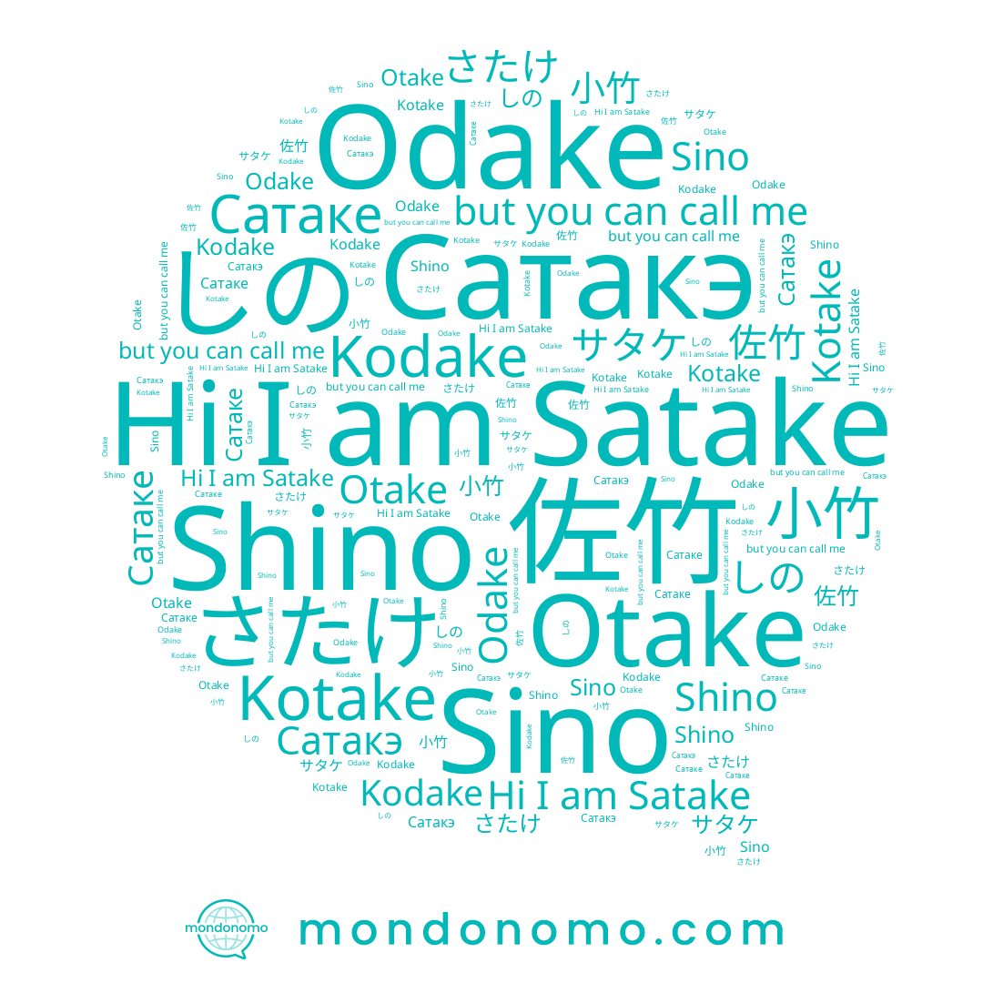 name Сатаке, name 小竹, name Kodake, name 佐竹, name Sino, name しの, name Odake, name Shino, name Satake, name Kotake, name サタケ, name Otake, name さたけ