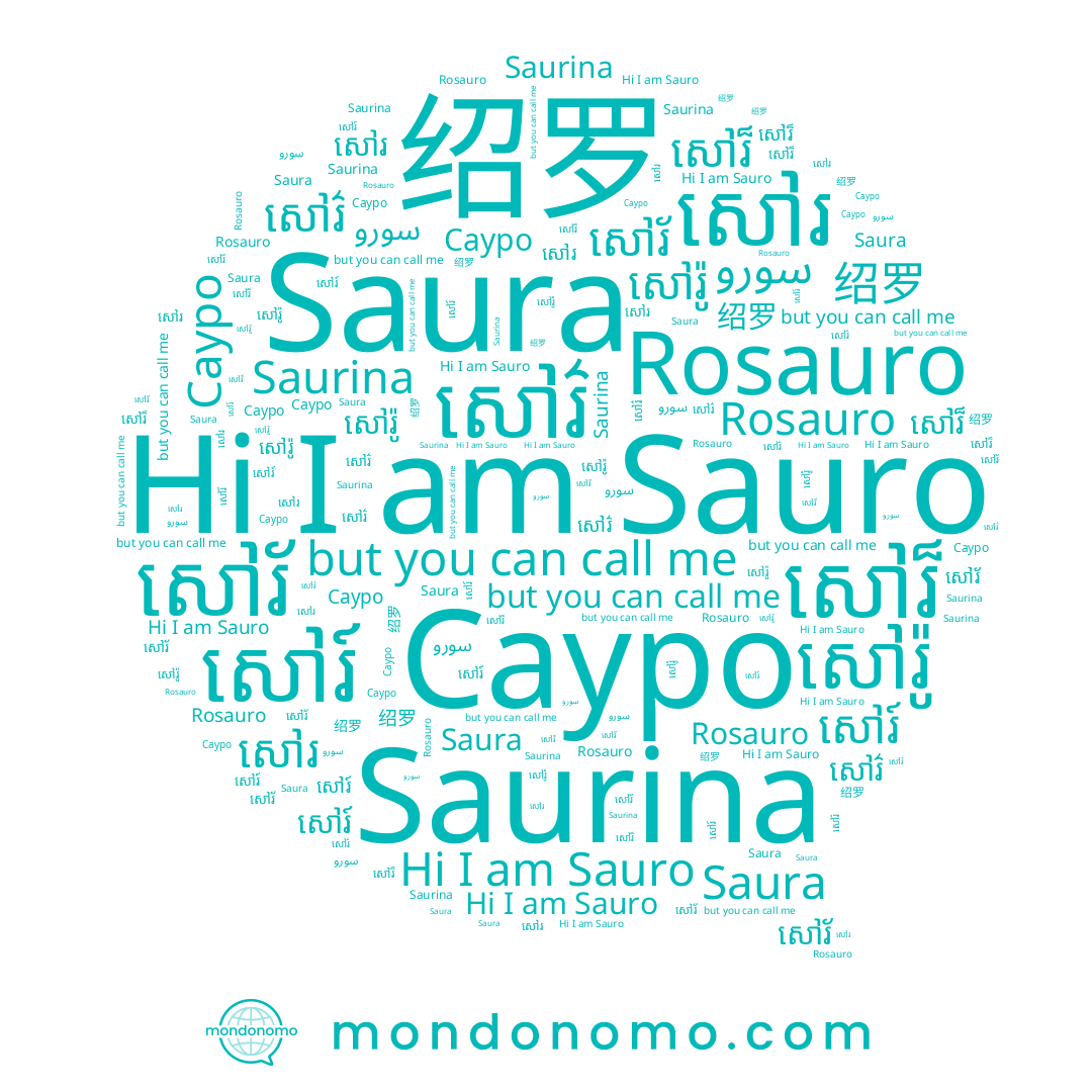 name Saurina, name សៅរ៏, name سورو, name សៅរ៍, name សៅរ, name សៅរ៌, name សៅរ៉ូ, name Сауро, name Saura, name Rosauro, name 绍罗, name សៅរ័, name Sauro