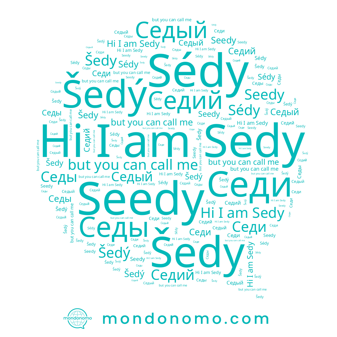 name Šedý, name Seedy, name Седи, name Sédy, name Седы, name Седый, name Седий, name Sedy
