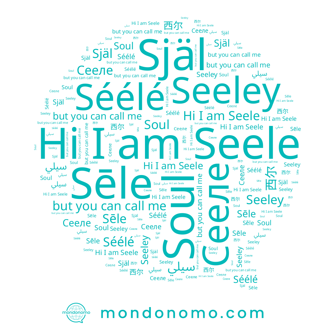 name Soul, name سيلي, name Seeley, name Séélé, name Sēle, name Сееле, name 西尔, name Seele