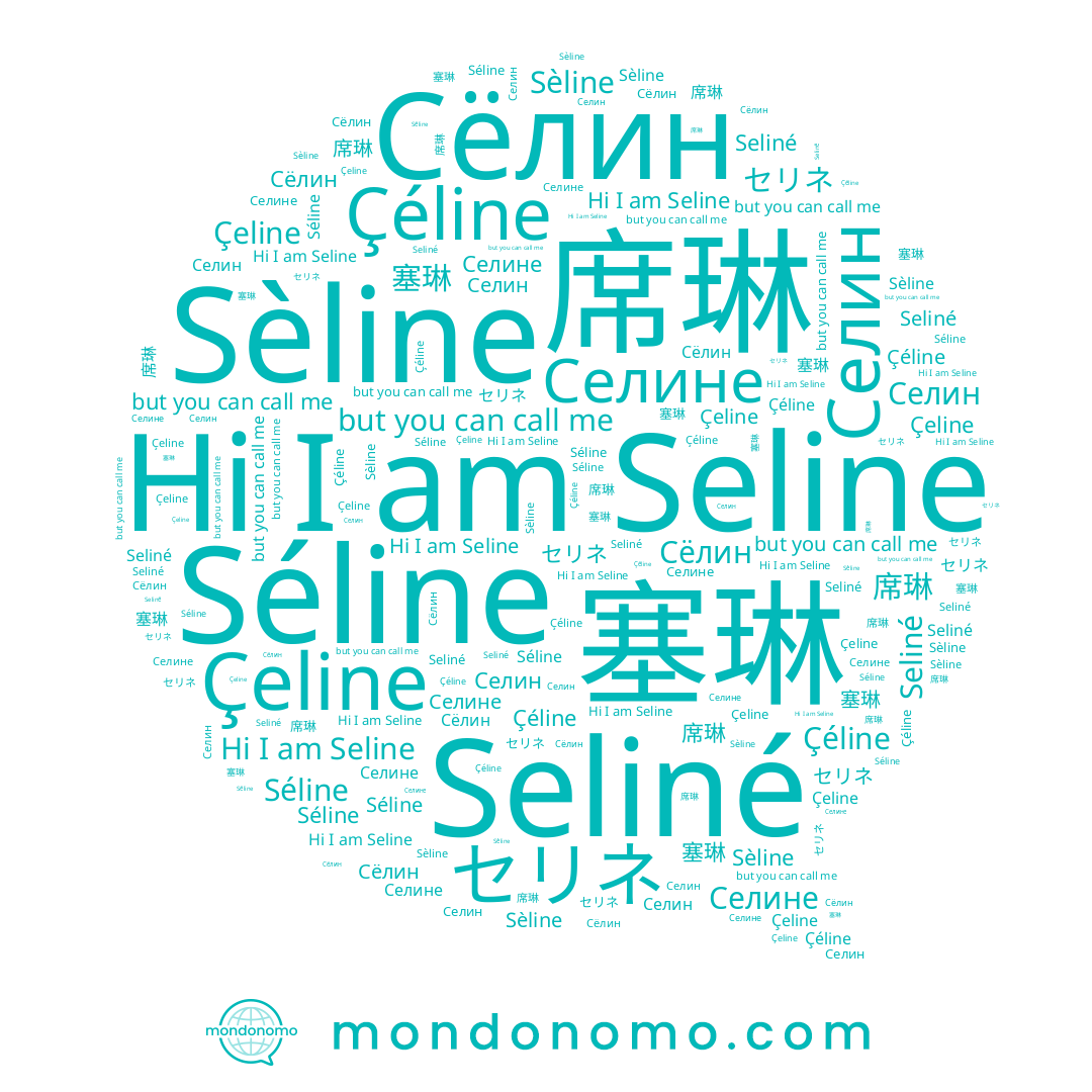 name Seline, name Seliné, name Сёлин, name セリネ, name Çéline, name Селине, name 塞琳, name Séline, name Селин, name Çeline, name Sèline, name 席琳