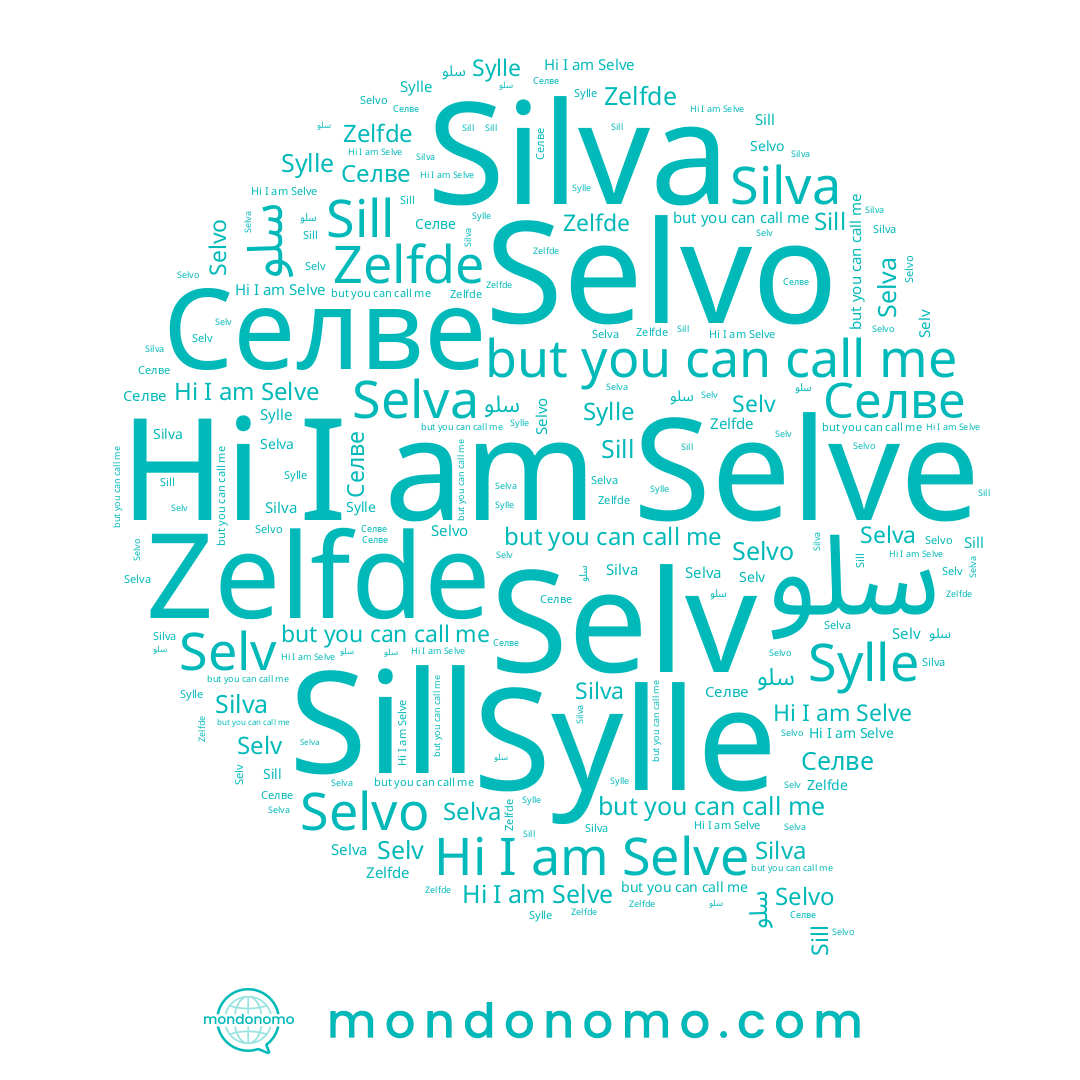 name Selvo, name Sill, name Zelfde, name Silva, name Selva, name Sylle, name Selv, name Selve