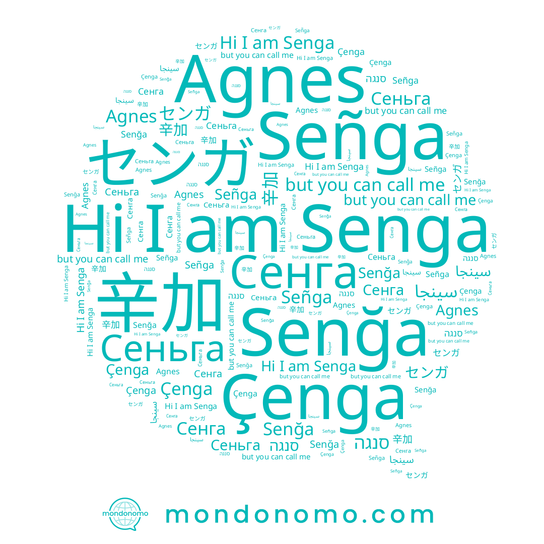 name 辛加, name センガ, name Сеньга, name Çenga, name Senga, name Senğa, name Agnes, name סנגה, name Сенга, name Señga