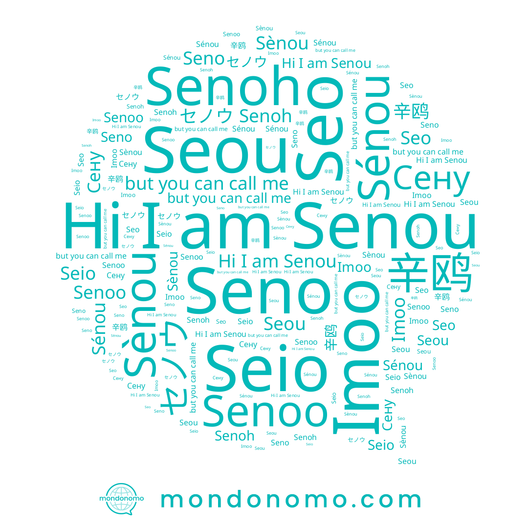 name Seio, name Sènou, name Senoo, name Seou, name Senou, name セノウ, name Seo, name Senoh, name Сену, name Imoo, name Sénou, name Seno, name 辛鸥