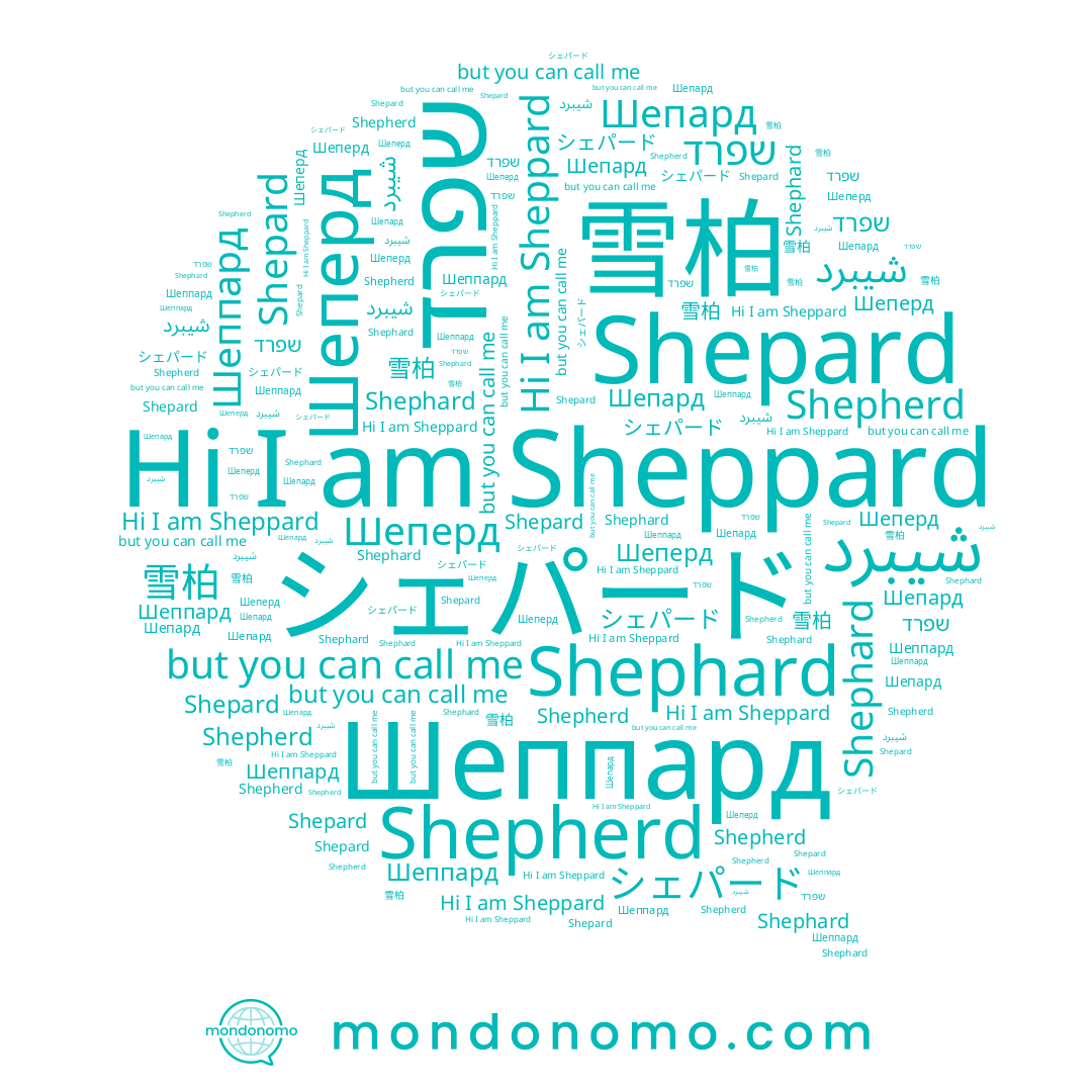 name Шеперд, name Шепард, name شيبرد, name Sheppard, name シェパード, name Shepard, name Shephard, name Shepherd, name Шеппард, name שפרד, name 雪柏