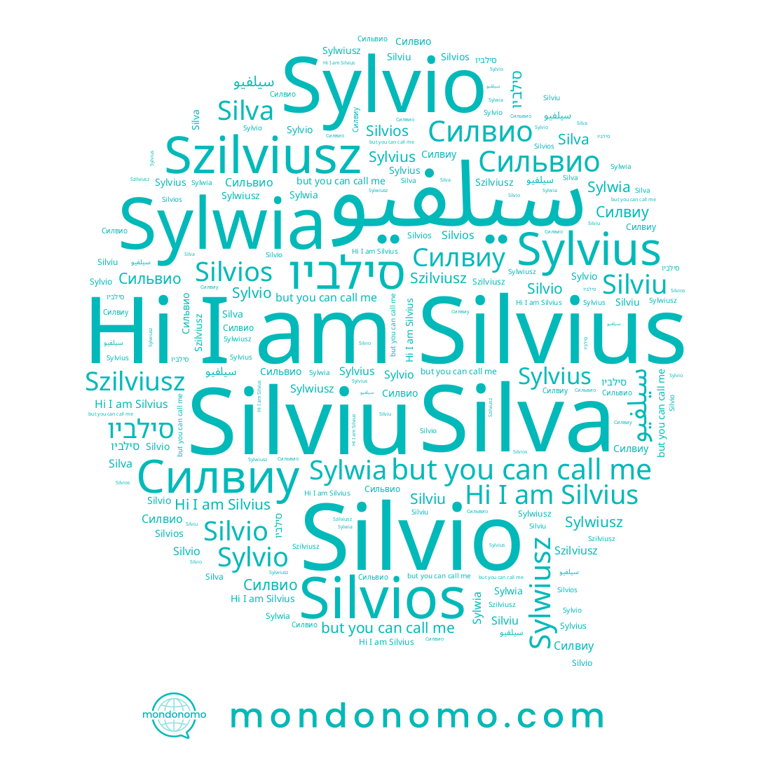 name Szilviusz, name Силвиу, name Sylwia, name Сильвио, name Silviu, name Silva, name סילביו, name Silvio, name Silvius, name Sylvius, name Sylwiusz, name Силвио, name Sylvio